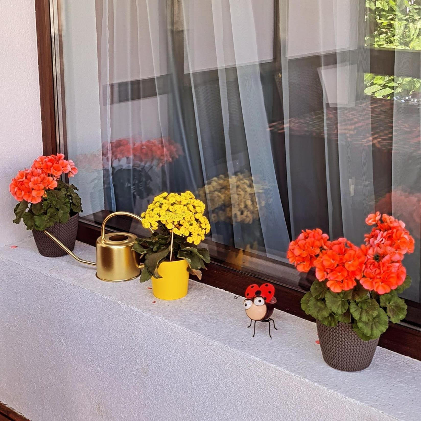 Casa Ama Villa Buşteni Exteriör bild